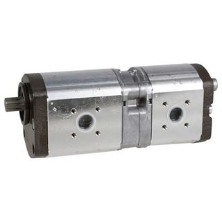 Bild von Doppelzahnradpumpe 0510765337 22/16cm3