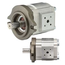 Bild von Innenzahnradpumpe EIPS2-011RA04-1x S111
