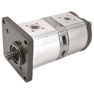 Bild von Doppelzahnradpumpe 0517665307 19/11cm3
